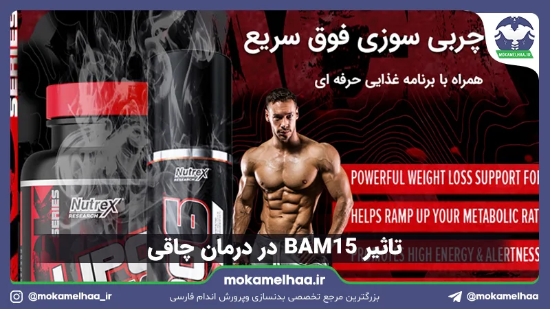 BAM15 در درمان چاقی