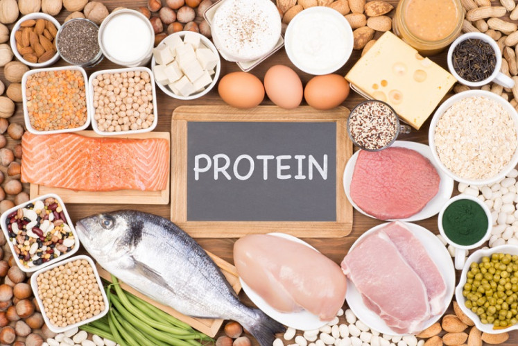 بهترین پروتئین کاهش وزن 