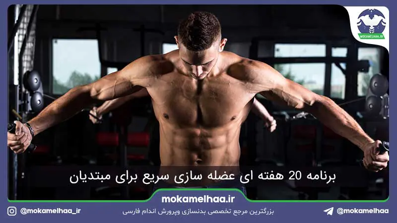 برنامه عضله سازی مبتدی