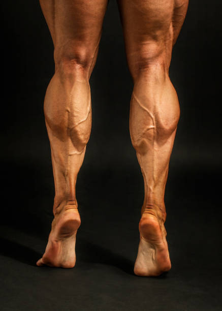 عدم رشد عضلات ساق