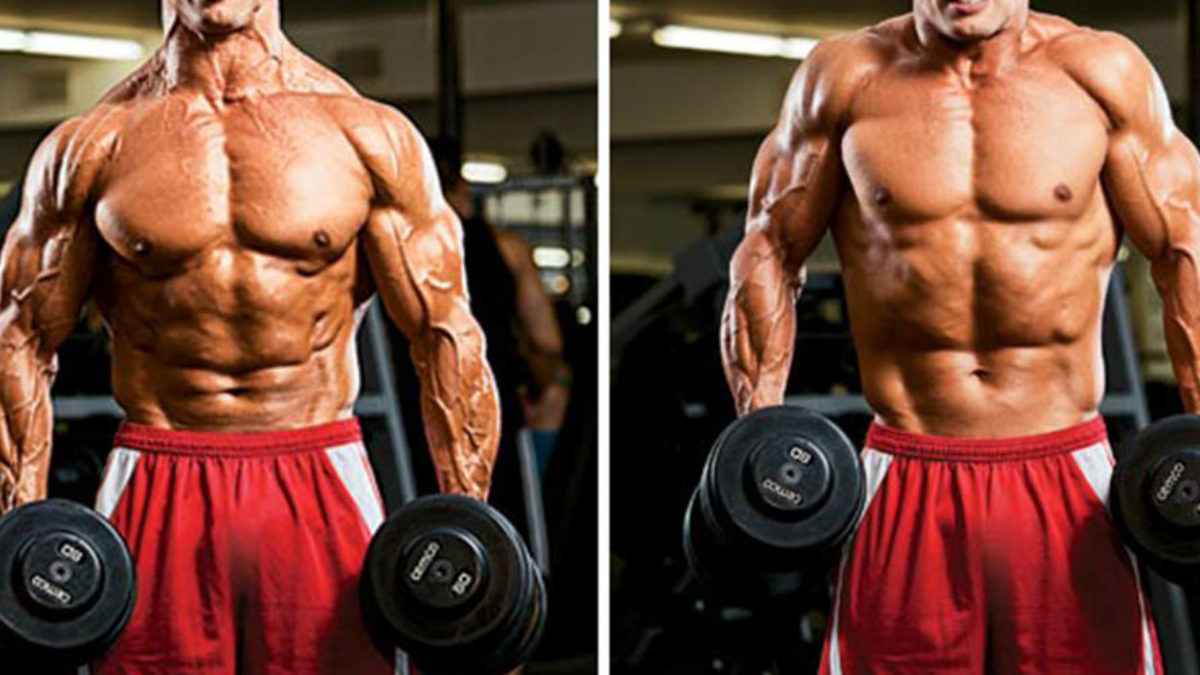 How To Do Dumbbell Shrugs ??? | WorkoutTrends.com
