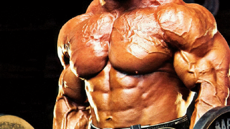muscles-legal-steroids-1024x545