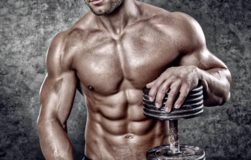 growmusclesprimer1