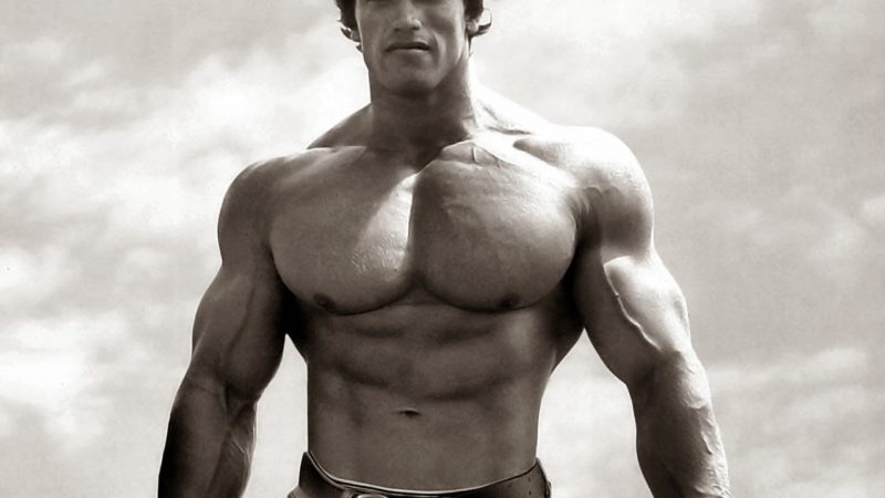 Arnold_Schwarzenegger_wallpaper_HD_0001