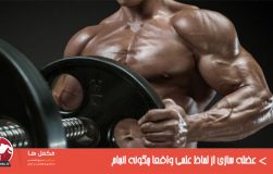عضله سازی از لحاظ علمی‌ واقعا چگونه انجام میشود؟