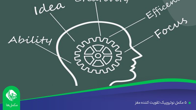 ۵ مکمل نوتروپیک تقویت کننده مغز