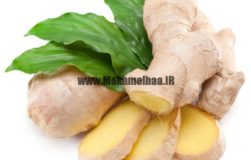 چربی سوزی با زنجبیل,زنجبیل در بدنسازی,تاثیر زنجبیل در چربی سوزی,چربی سوزی به همراه زنجبیل,زنجبیل در ورزش,بدنسازی,پرورش اندام,مکمل,مکمل های بدنسازی