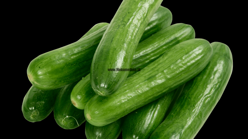 خیار- چربی سوزی-خواص ضدسرطانی!!!,خواص خیار در بدنسازی,پرورش اندام,فروشگاه مکمل های بدنسازی,فروشگاه مکمل های پرورش اندان,مکمل,چربی سوزی,خیار در بدنسازی,فدراسیون پرورش اندام,بدنسازی بانوان