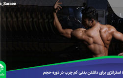 رضا سرایی