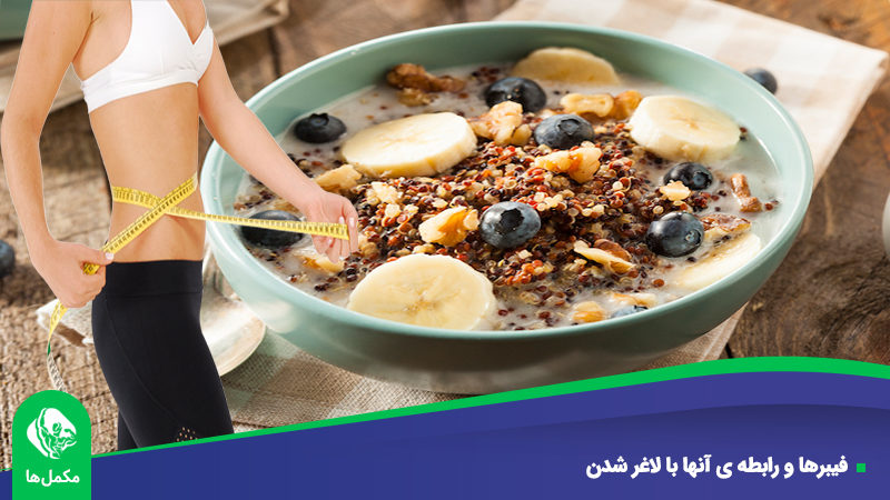 فیبرها و رابطه ی آنها با لاغر شدن