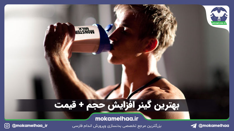 بهترین گینر برای افزایش حجم