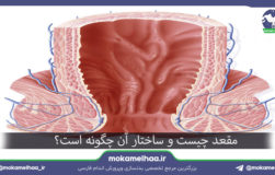 مقعد چیست و ساختار آن چگونه است؟