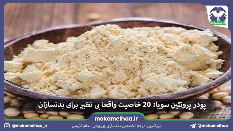 پودر پروتئین سویا