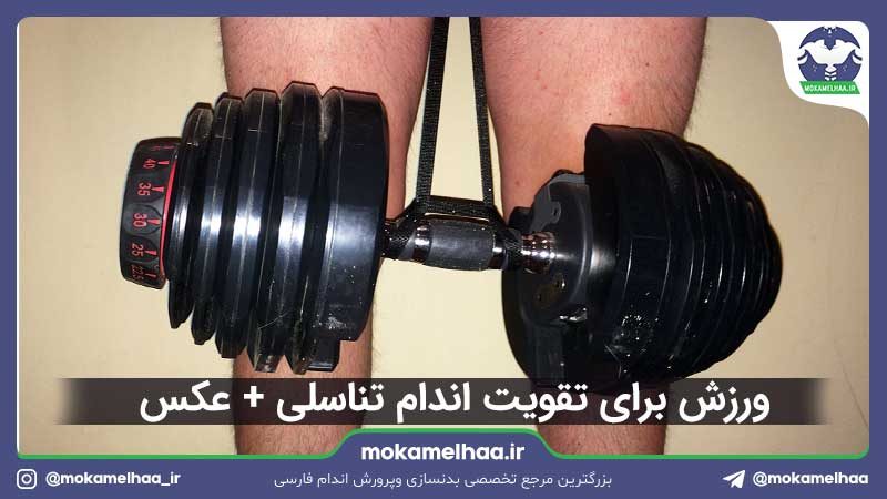 ورزش برای تقویت اندام تناسلی