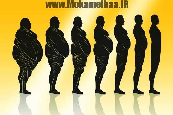 افزایش وزن فوری
