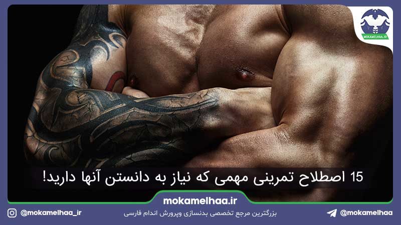 اصطلاحات تمرینی