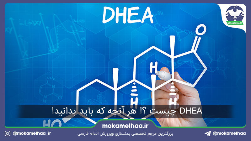 DHEA چیست