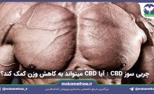 چربی‌ سوز