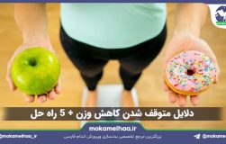 توقف کاهش وزن