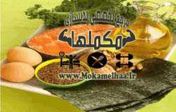 چربی های اشباع و غیر اشباع,رژیم بدنسازی,رژیم غذایی,چربی های اشباع و غیر اشباع چیست,بدنسازی,رژیم حرفه ای