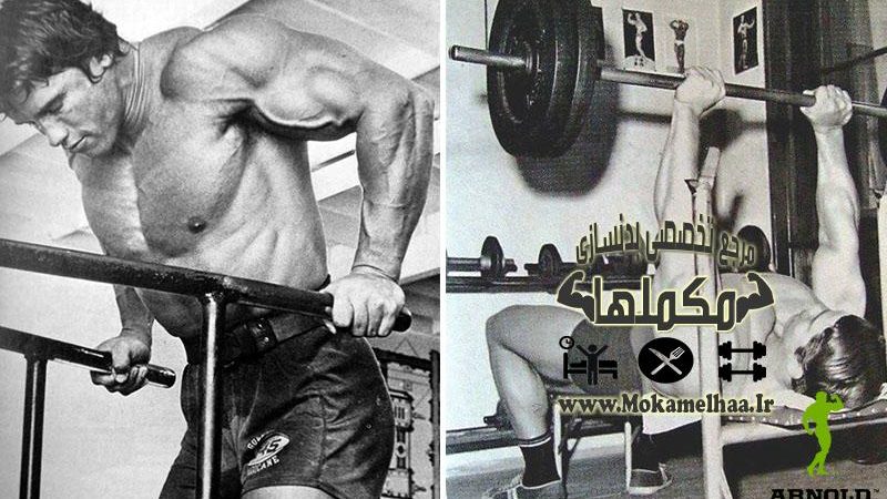 ارنولد