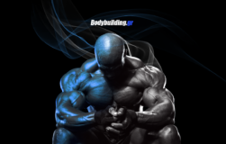 bodybuilding-wallpaper-hdwallpapers-bodybuilder-bodybuilding-gr-page-1366x768-0