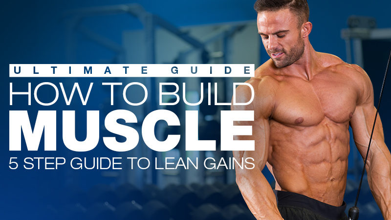 muscle-building-header_1