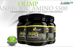 olimp_anabolic_amino_5500_001