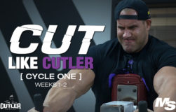 cut_like_cutler_cycle_1