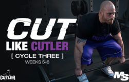 cut_like_cutler_cycle_3