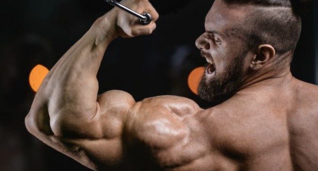 steroids-655x353