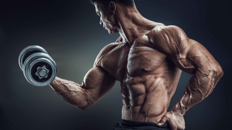 dumbbell-biceps-curl-arm-exercise