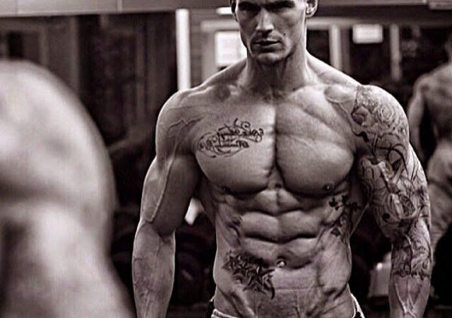 dc68b02c14c489ace4a991d3d7d0021e--body-building-motivation-body-motivation