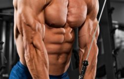 triceps-1