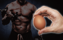 Egg-White-Protein-Powder-for-Muscle-Growth