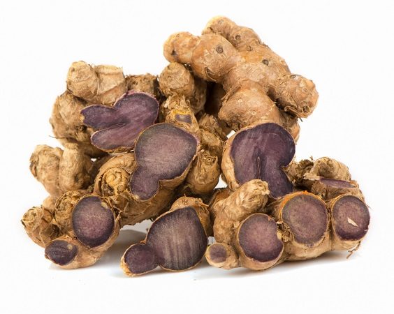 Black galingale root, thai herb and folk medicine in Thailand